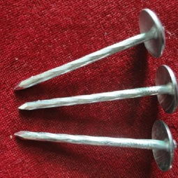 高密市宏宇五金制品廠 專業(yè)銷售鍍鋅瓦楞釘?shù)目煽抗?yīng)商