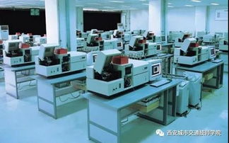 初 高中畢業(yè)學(xué)校怎么選 報考指南在這里